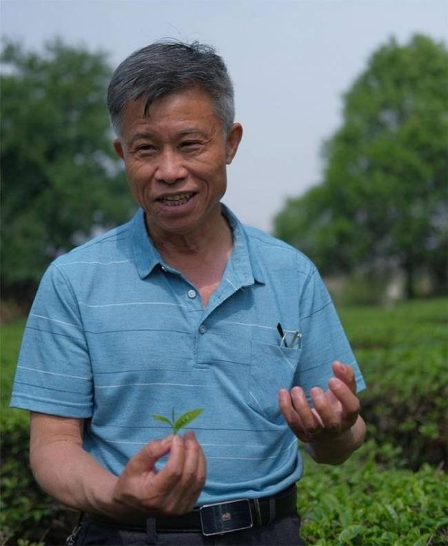 李兴昌：以一生匠心守艺，以百年茶脉传薪，以一叶清茶富民