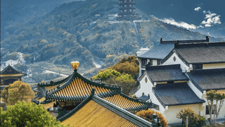 请假几天带她出去转转