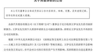 众泰汽车高层震荡持续：副总裁王伊安辞职 内斗余波未平