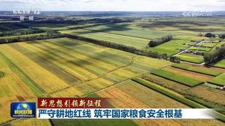 【新思想引领新征程】严守耕地红线 筑牢国家粮食安全根基