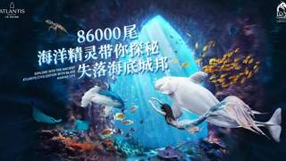司机从我的行李箱接过，箱子轮子在地上转了两圈