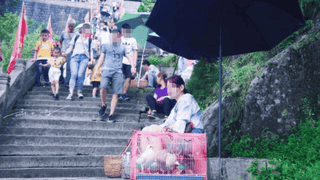 九华山作为佛教名山，“放生”却成为生意，游客：这样真的好吗？