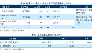 河南黄金集团来了