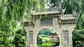 河南杞县：废弃坑塘“变身”主题公园 映日荷花“点亮”乡村振兴