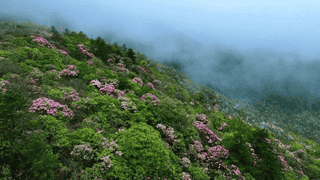 【读方志·游吉安】走进井冈山市:“永宁八景”