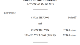 6天赌光2.8亿 !一纸判决书曝光赵薇前夫黄有龙赌桌往事
