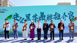 这杯茶，叫益阳——青海省首批安化黑茶品牌推介官的深情告白