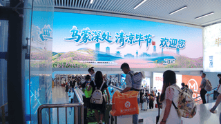 接到了!毕节迎来成都避暑游客