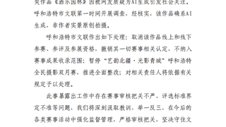呼和浩特通报“摄影比赛一等奖被指AI生成”：确系AI生成