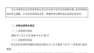 传统CRO业务承压叠加BD收益缺位 阳光诺和预计上半年业绩大幅转亏
