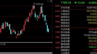 救市组合拳点燃反弹行情，陈果力挺“老登”春天：低位低估值配置“YYDS”成避险主线
