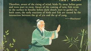 文质彬彬·每日好词语｜阴阳之气解析