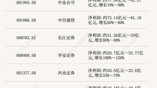 17家上市券商全部预增 两大龙头半年净利均超200亿元 主动基金二季度加码券商股