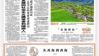 西海镇名字溯源：从历史长河中打捞古老地名