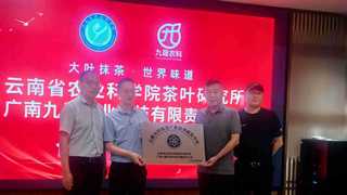 云南农科院茶科所携手广南九晟 共建大叶种抹茶标准化国际化新平台