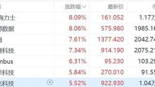 美股存储板块今日集体拉升 多股涨幅超5%至8%