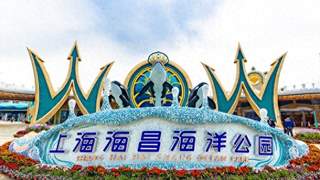 海昌海洋公园再获百亿资本加持 港股亏损主题乐园缘成资本聚集地