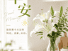 早安,别被已经付出的时间,绑住接下来的选择