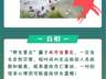 【关注】汛期+暑期！户外游玩这份安全提示请收好