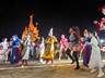 夜游宿迁森迪 解锁“星光动物园”新体验