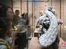 景德镇申遗后首秀落地中国工美馆 主题展览1日开展