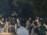 合肥大蜀山国家森林公园发布夜间登山提示 勿闯密林确保安全
