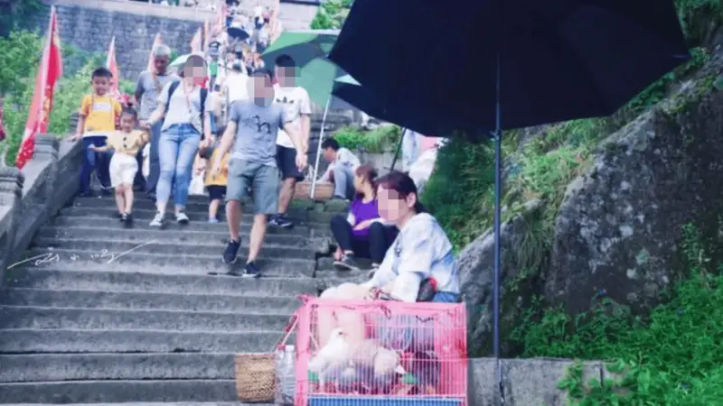 九华山作为佛教名山,“放生”却成为生意,游客:这样真的好吗?