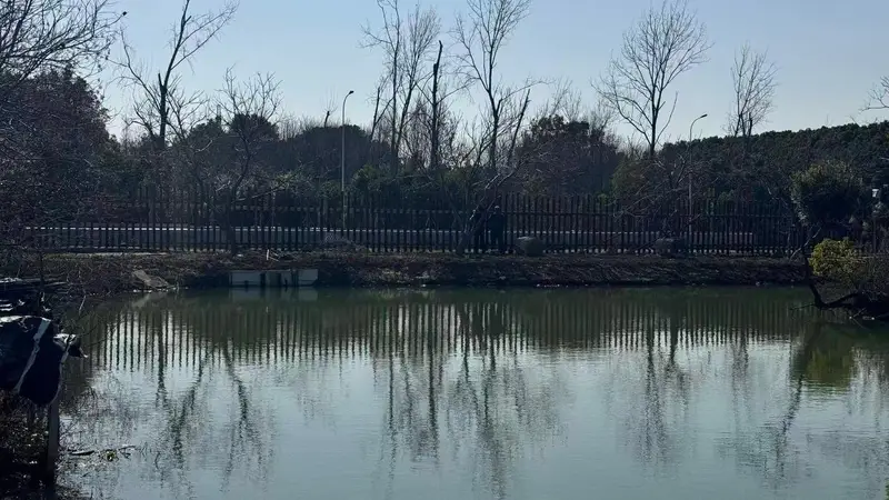 虞山山泉活水滋养 江南山渔尽显自然鲜醇