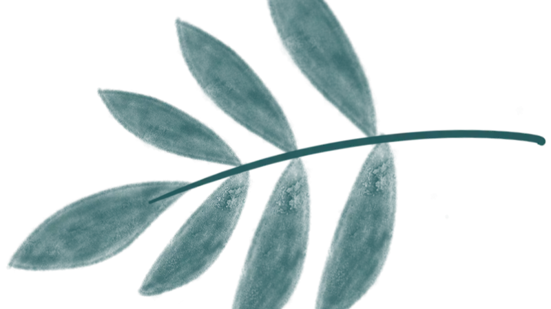 活动报道‖品四时茶宴,阅一城文脉!“早点来泰州”系列讲座收官