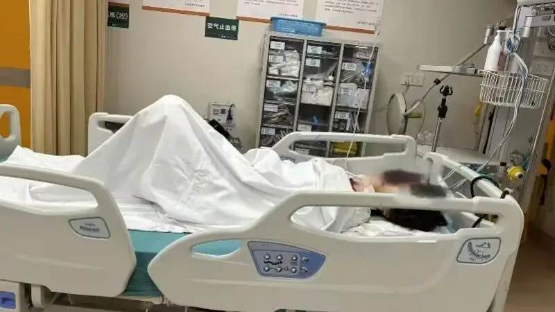 上海反虐猫志愿者轻生被救 家属将协助维权对抗网暴