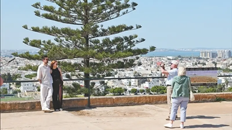 突尼斯旅游业连续增长态势稳固