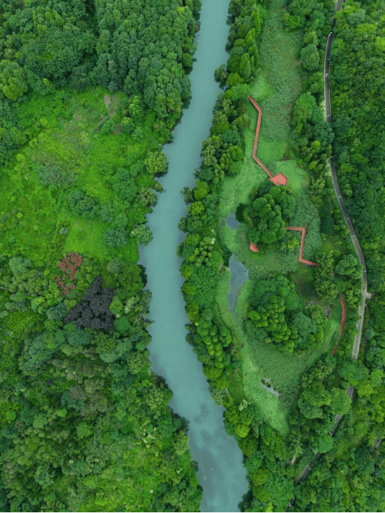 四大亮点焕新2026避暑季！秀美花溪邀您乐享清凉旅居