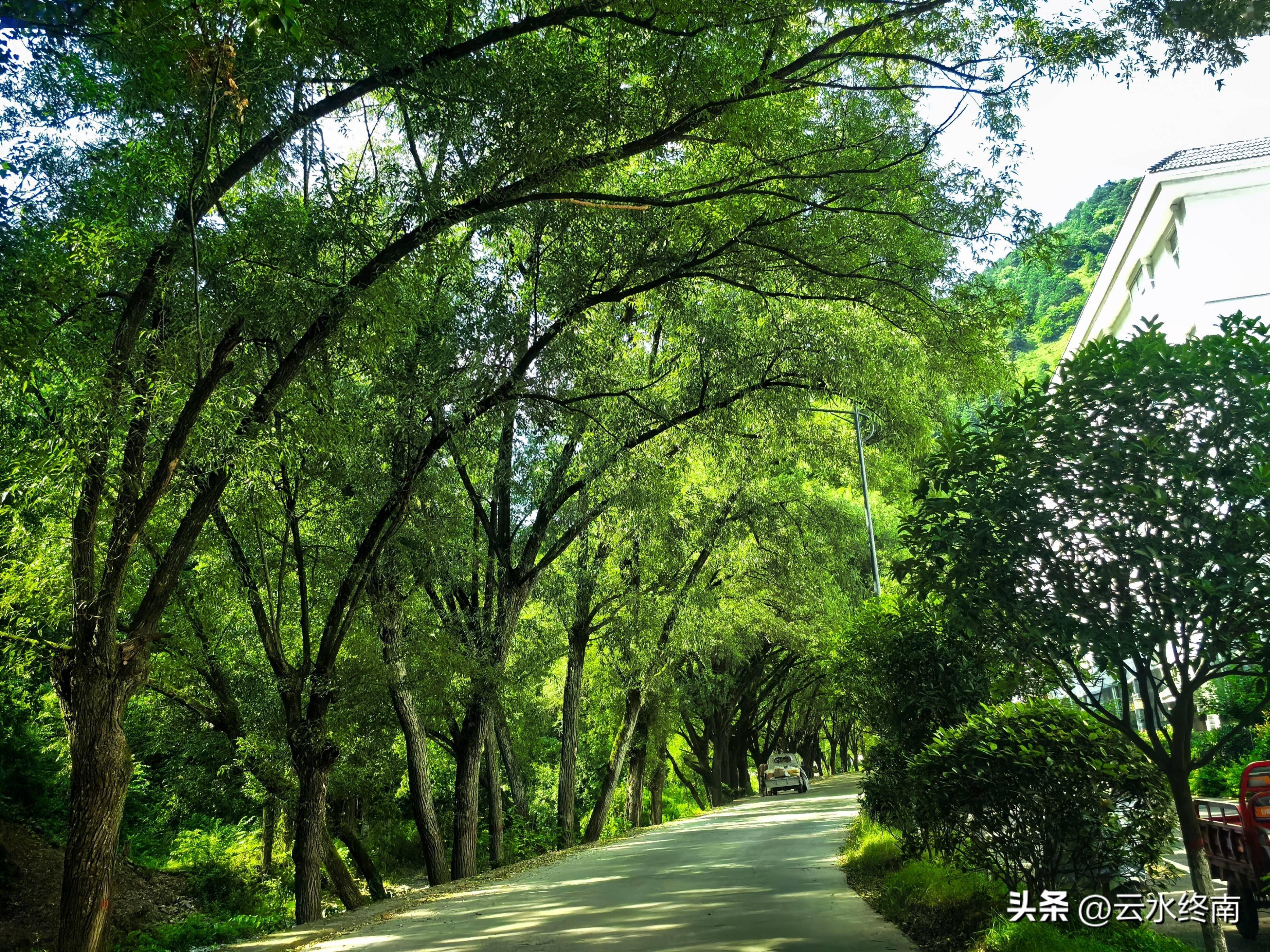 路过秦岭秘藏的中国传统村落，我们又翻越了群峰起伏的南北分水岭