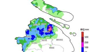 暴雨致复旦校园多处积水，“看海”模式后通行已恢复