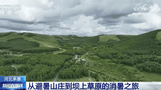 夏日清凉文旅火 塞罕坝长海成游客避暑好去处