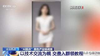 女孩生活照遭AI一键脱衣生成不雅照 上千人付费入群学教程 央视曝光AI脱衣黑色产业链