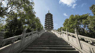 深耕普陀山十余年 杭州自在旅行社面向同行开放核心资源