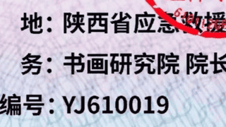 “国际应急救援中心陕西总队”被取缔,曾下设书画研究院