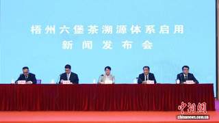 中国茶产业溯源体系建设提速 构建茶叶“数字身份证”
