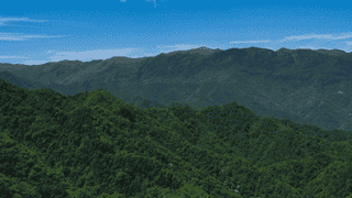 22℃紫柏山,小白友好的夏日徒步胜地