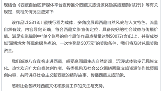 博主“打出租车到拉萨”视频点赞突破1900万,西藏文旅将兑现50万元奖金
