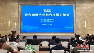 云台咖啡业者聚首云南保山 共拓“醇香”合作路