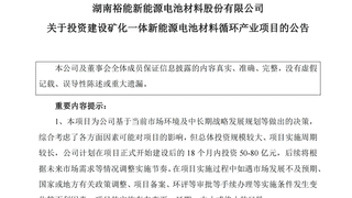 240亿元！磷酸铁锂龙头，大投资