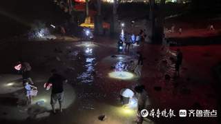 山海天太公岛牡蛎公园：夏日夜赶海乐趣多