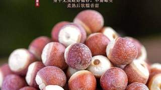 夏季消暑煲汤，芡实的全家营养神器