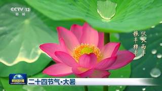 文化中国行：大暑时节 赴一场盛夏的自然与文化之约