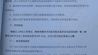 海南白沙百年重阳树被警方扣押后遭林业局赠予 村民申诉多年高院裁定再审申请驳回