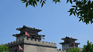 从厦门返太原始 旅途中捡黄槿花藏过往