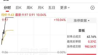 8月4日*ST中迪盘中涨停 实控人及关联方拟为旗下子公司提供4.5亿元担保
