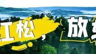 伊春市监局发布夏季旅游价格提醒告诫 严打价格欺诈行为